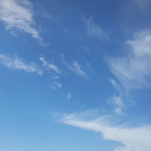 Meet your Posher, Alba